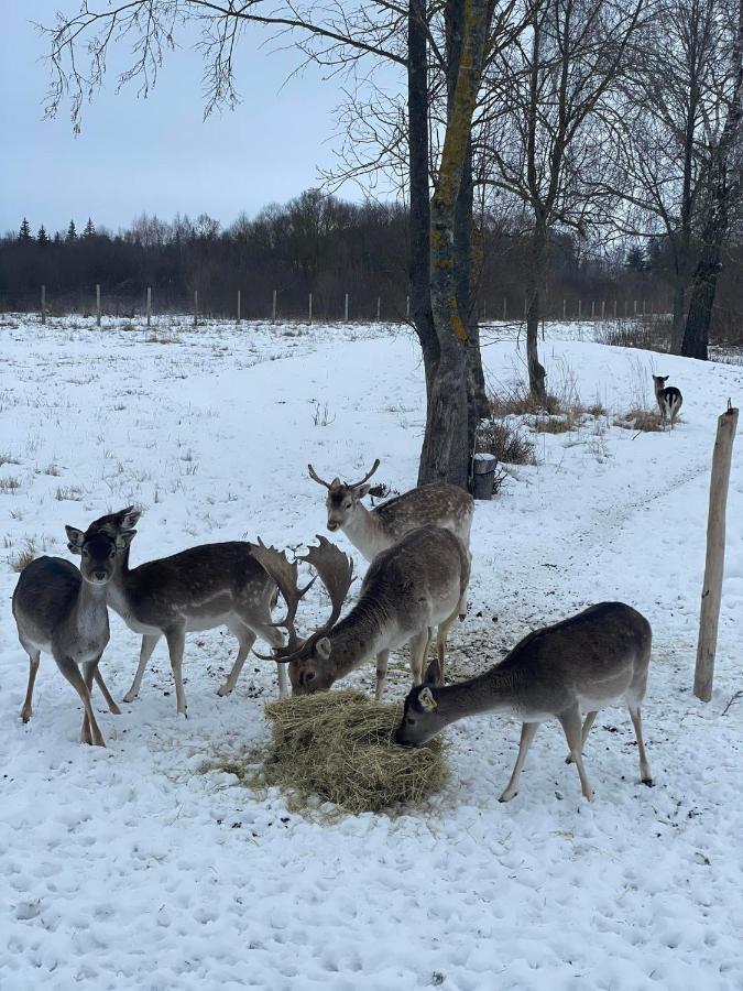 Vila Arciau Gamtos Anyksciai Kurkliai Exteriér fotografie